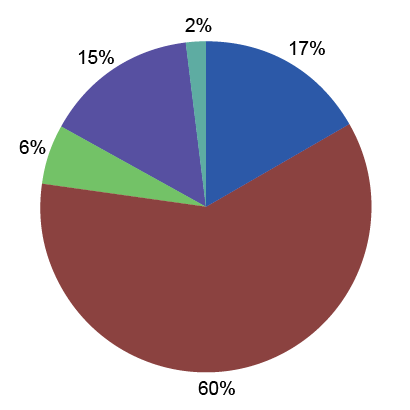 Pie Chart breaking down functional expenses for PAB. 2% for Prevention of Blindness - $469,988 | 17% for Specialized Services - $1,658,889 | 61% for Other Programs - $153,203 | 6% for Management & General - $408,108 | 15% for Fundraising - $47,483